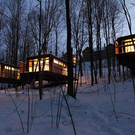 Cabin Sutton 252 - En Harmonie Avec La Nature! Βίλα Εξωτερικό φωτογραφία