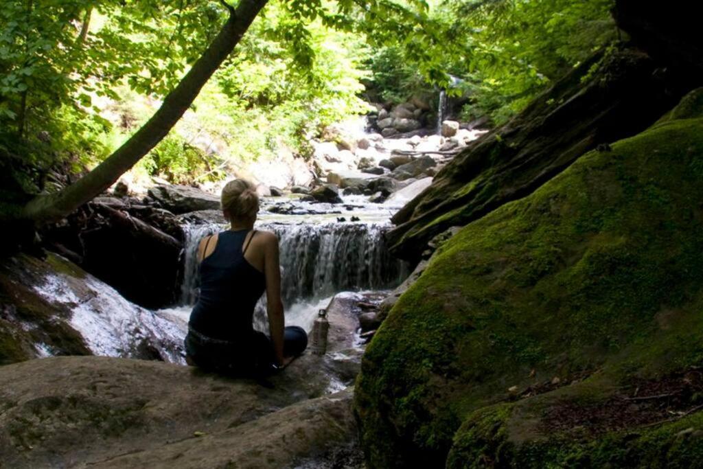 Cabin Sutton 252 - En Harmonie Avec La Nature! Βίλα Εξωτερικό φωτογραφία